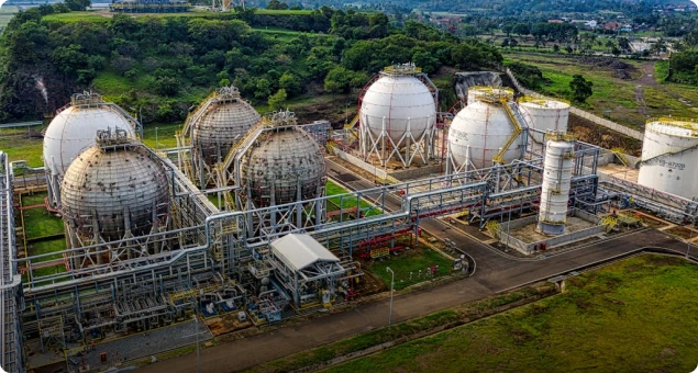 Petrochemicals Plants