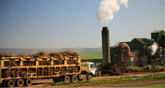 Sugar Industries